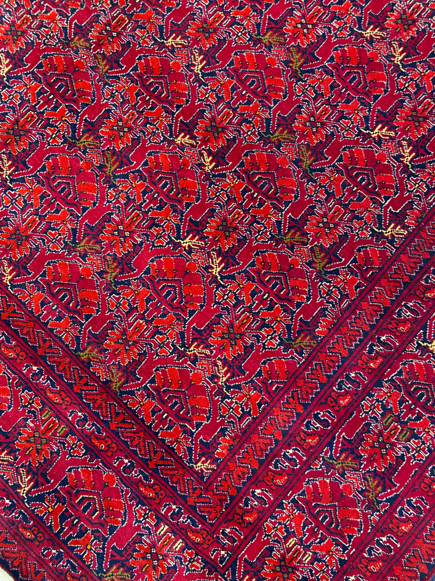 Imperial Turkmen Marchak thumbnail 2