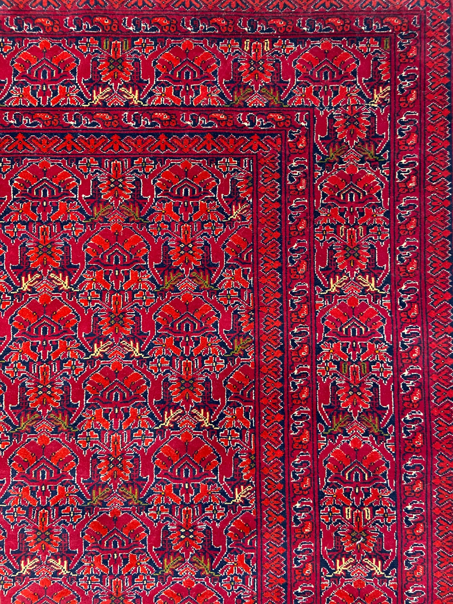 Imperial Turkmen Marchak thumbnail 4